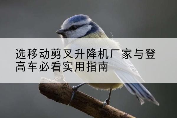 大埔电动升降机厂家-选移动剪叉升降机厂家与登高车必看实用指南