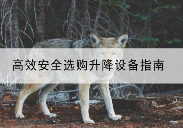 大埔升降货梯厂家推荐-*安全选购升降设备指南