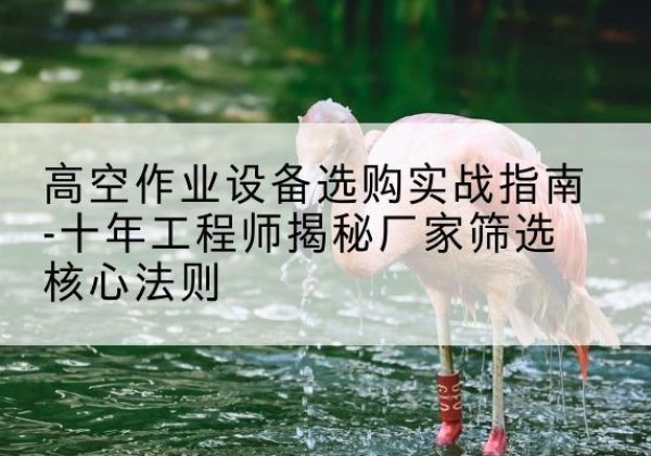 大埔剪叉式升降机厂家-高空作业设备选购实战指南-十年工程师揭秘厂家筛选核心法则